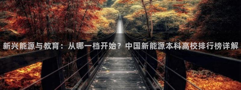 旧版新宝GG