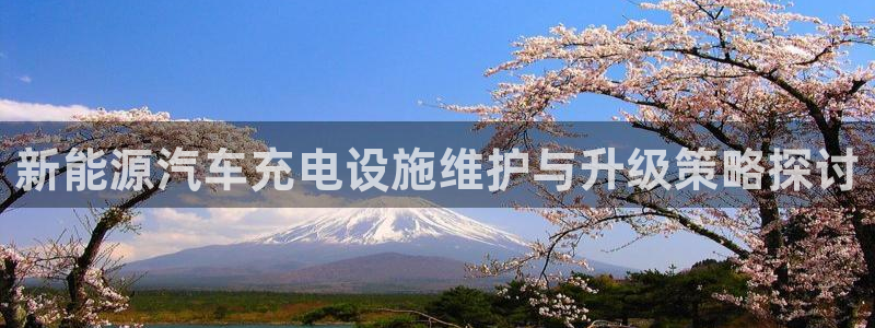 新宝gg反水