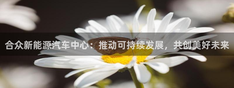 新宝gg账号