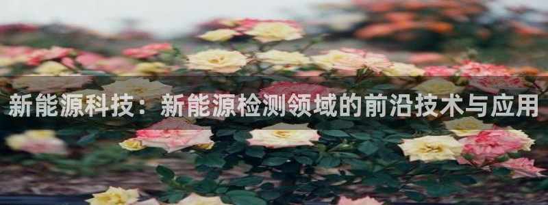 新宝gg4