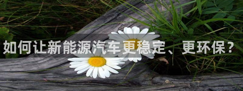 新宝gg分红
