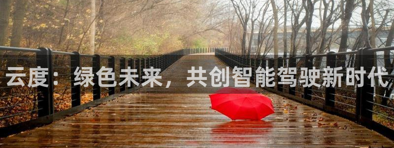 新宝gg属于：云度：绿色未来，共创智能驾