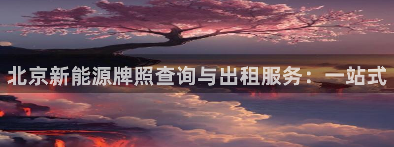 新宝gg怎样代理：北京新能源牌照查询与出