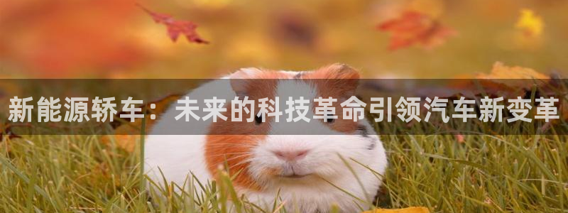 新宝gg6：新能源轿车：未来的科技革命引