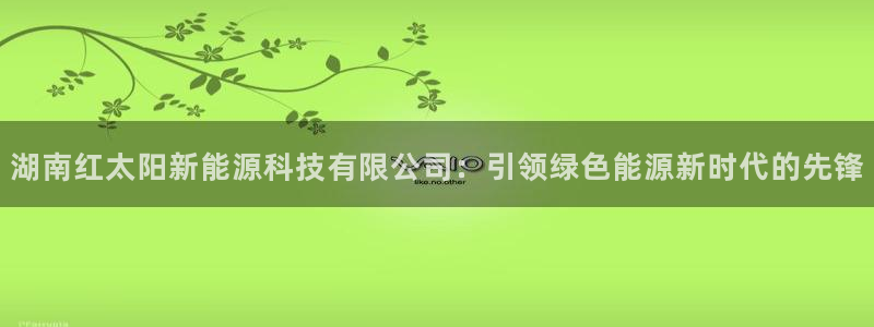 新宝gg博客：湖南红太阳新能源科技有限公