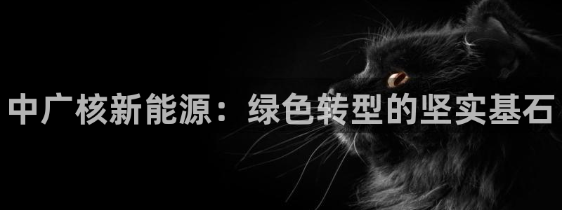 新宝gg扣钱
