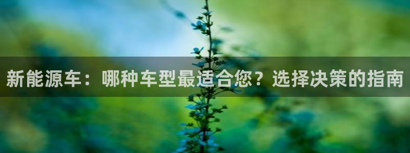 新宝gg登录新：新能源车：哪种车型最适合
