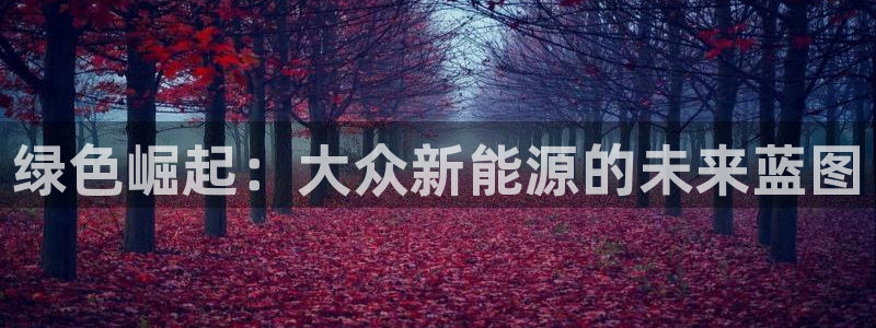 分分新宝gg