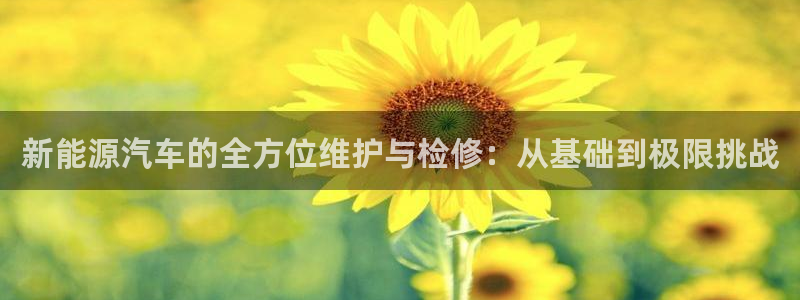 新宝gg网投