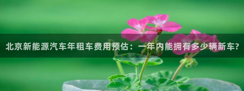 新宝gg资料：北京新能源汽车年租车费用预