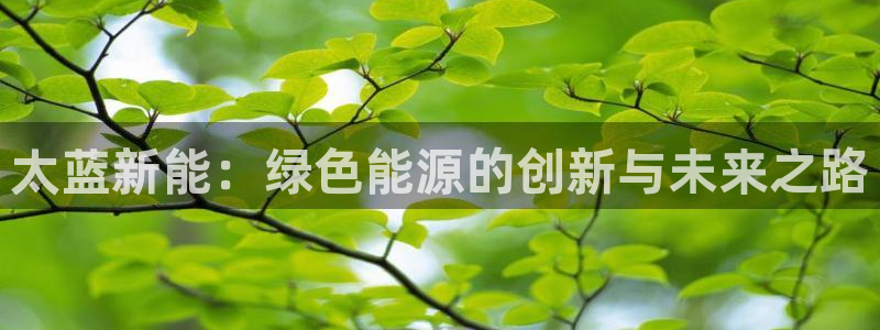 新宝gg和新宝123：太蓝新能：绿色能源