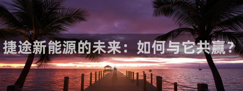 新宝GG都有哪些计划：捷途新能源的未来：