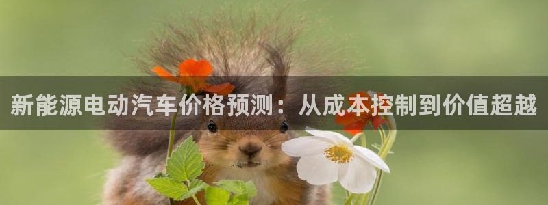 正版新宝gg：新能源电动汽车价格预测：从