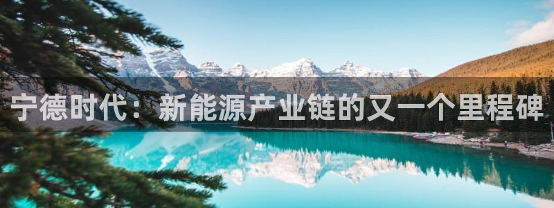 新宝gg娱乐上皇巢网：宁德时代：新能源产