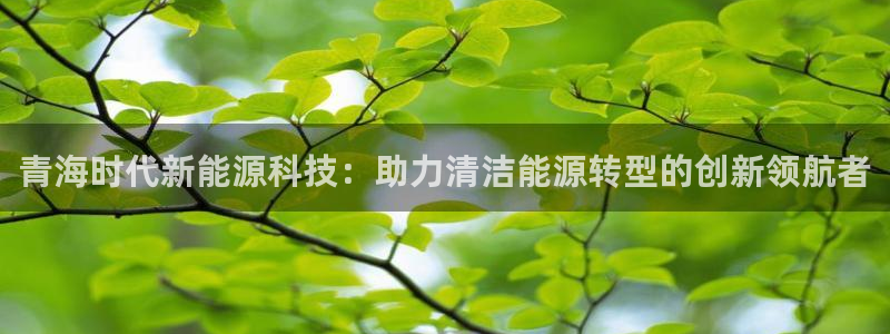 888新宝gg：青海时代新能源科技：助力