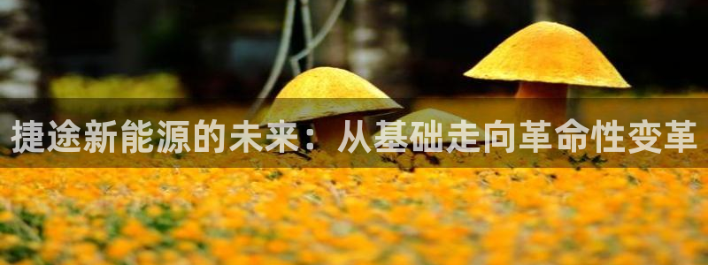 新宝gg找回账号