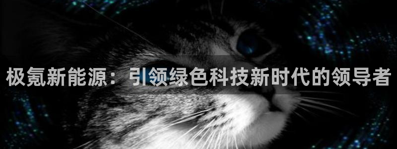 新宝gg下载官网下载