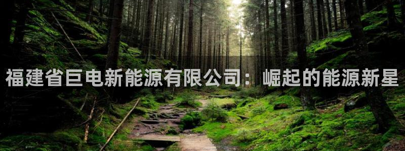 新宝GG询问29999：福建省巨电新能源