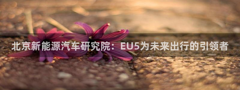 新宝gg直属上级：北京新能源汽车研究院：