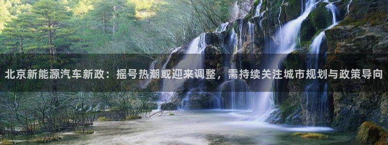 新宝gg 039：北京新能源汽车新政：摇