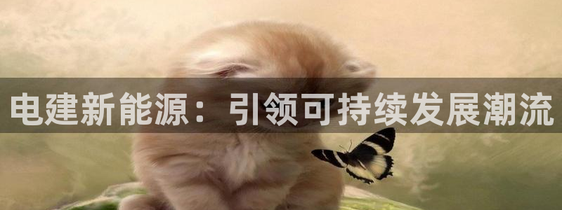 谁有新宝GG：电建新能源：引领可持续发展