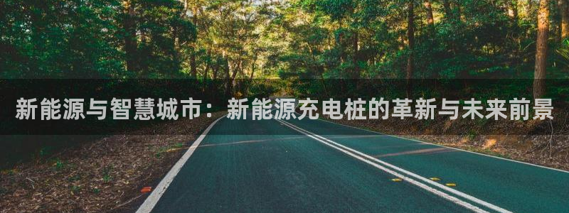 新宝gg正规:新能源与智慧城市:新能源充电桩的革新与未来前景