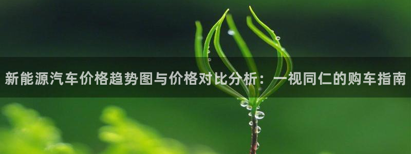 新宝gg新宝5:新能源汽车价格趋势图与价格对比分析:一视同仁