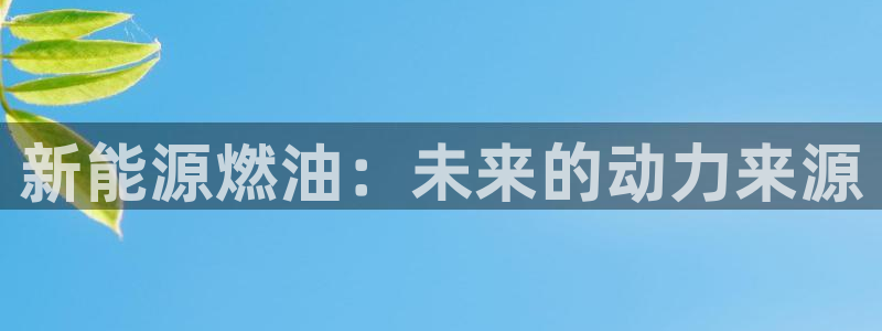新宝奇迹GG5:新能源燃油:未来的动力来源