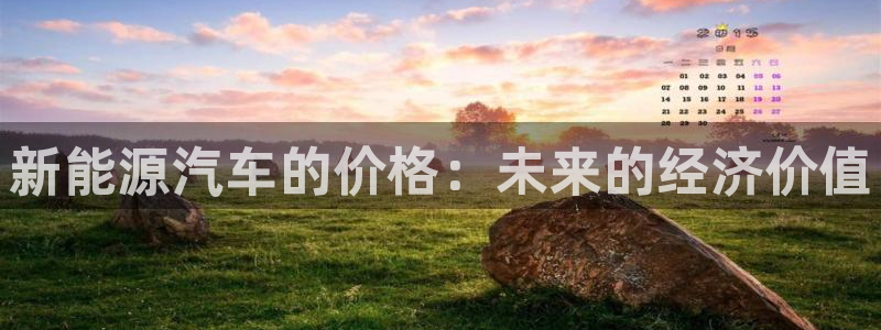 新宝gg客户端下载:新能源汽车的价格:未来的经济价值