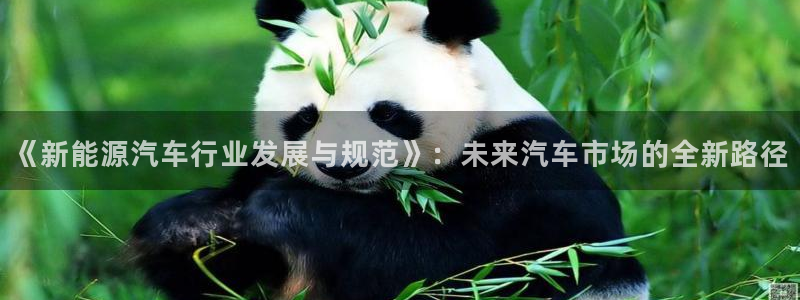 新宝GG用哪个网址登录:《新能源汽车行业发展与规范》:未来汽