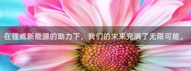 新宝GG傲78778