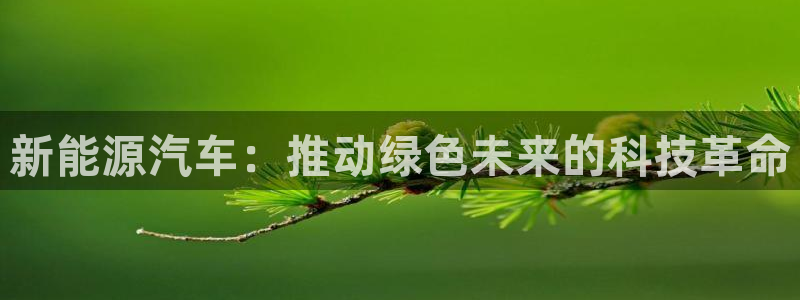 创造奇迹 新宝gg:新能源汽车:推动绿色未来的科技革命