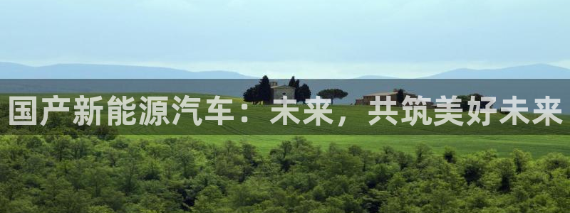 新宝gg好吗