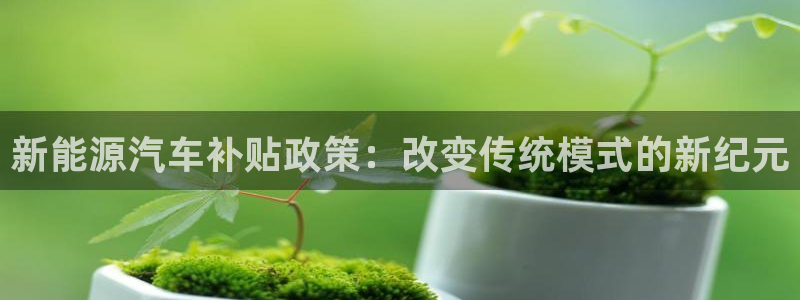 新宝gg有规律么：新能源汽车补贴政策：改