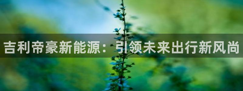 新宝gg注册jhjinde：吉利帝豪新能