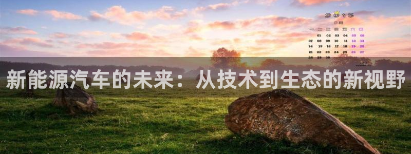 新宝gg测速:新能源汽车的未来:从技术到生态的新视野