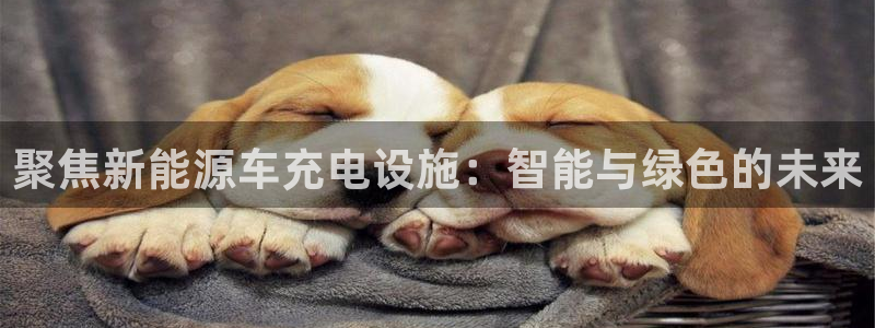 新宝g新宝gg