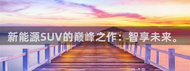 新宝gg 注册:新能源SUV的巅峰之作:智享未来。