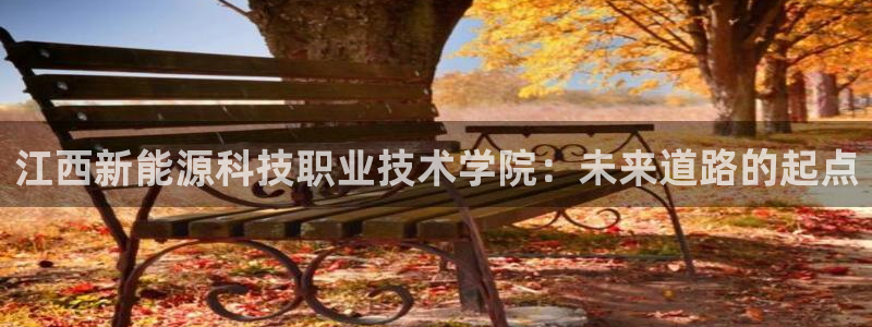 新宝gg 内部 8:江西新能源科技职业技术学院:未来道路的起