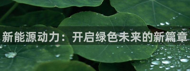 新宝gg维护