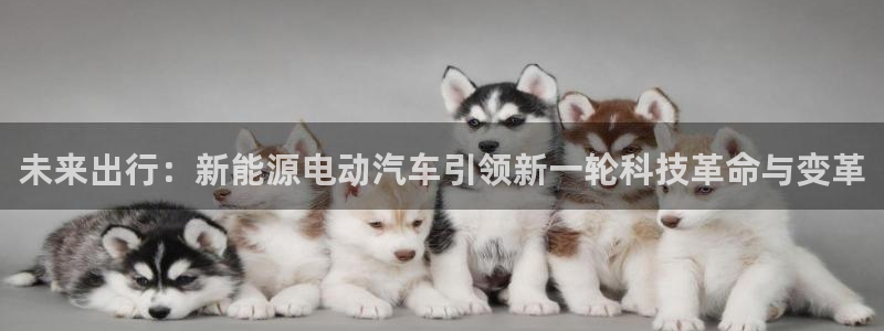 旧版新宝GG:未来出行:新能源电动汽车引领新一轮科技革命与变