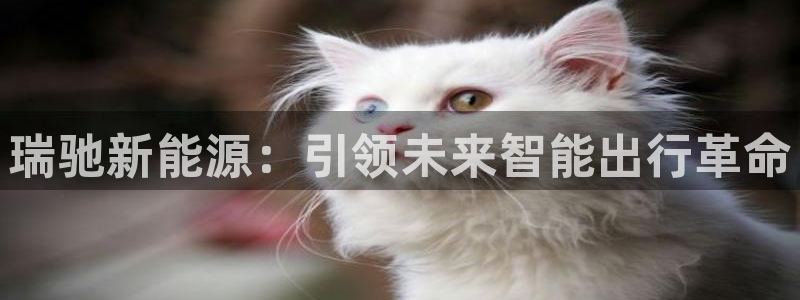 新宝GG都有哪些计划:瑞驰新能源:引领未来智能出行革命