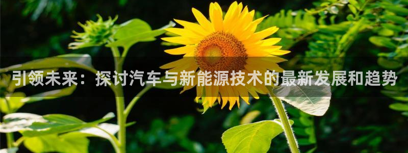 新宝GG挂机