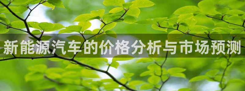 新宝gg咨询55312