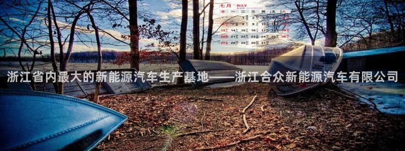新宝gg主管花木兰：浙江省内最大的新能源