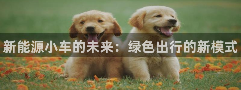 新宝gg平台开发:新能源小车的未来:绿色出行的新模式