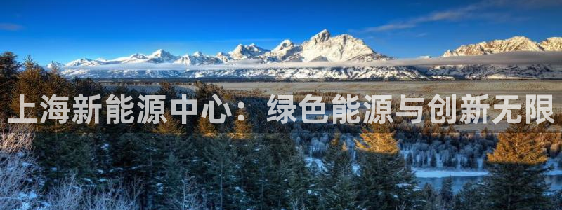 新宝gg最新章节:上海新能源中心:绿色能源与创新无限