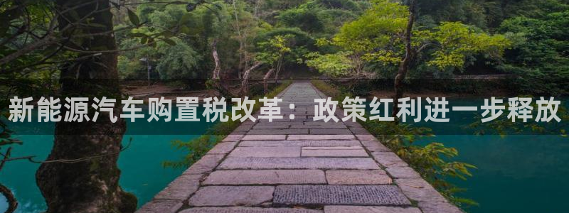 新宝gg网址:新能源汽车购置税改革:政策红利进一步释放