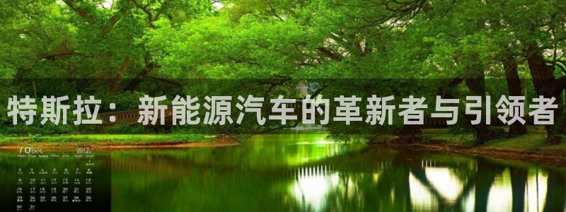 新宝gg奖金:特斯拉:新能源汽车的革新者与引领者