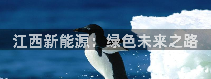 新宝GG程355051:江西新能源:绿色未来之路